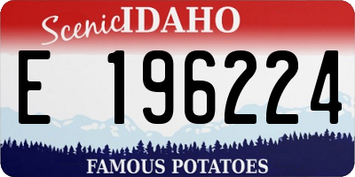 ID license plate E196224