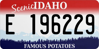 ID license plate E196229