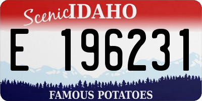ID license plate E196231