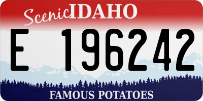 ID license plate E196242