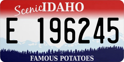 ID license plate E196245