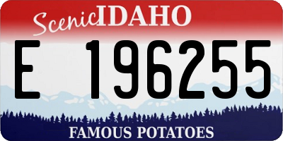ID license plate E196255