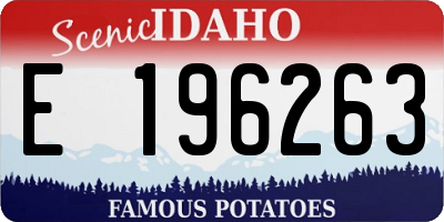 ID license plate E196263