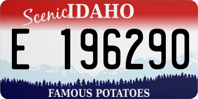 ID license plate E196290