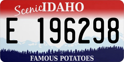 ID license plate E196298