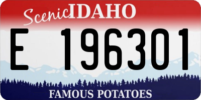 ID license plate E196301