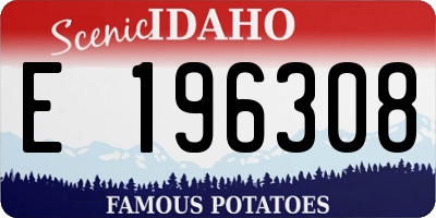 ID license plate E196308