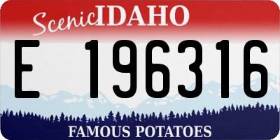 ID license plate E196316