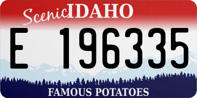 ID license plate E196335