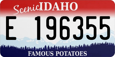 ID license plate E196355