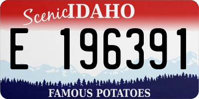 ID license plate E196391