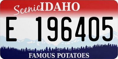 ID license plate E196405