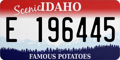 ID license plate E196445