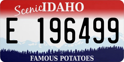 ID license plate E196499