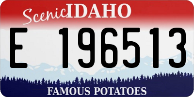ID license plate E196513