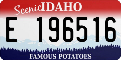 ID license plate E196516