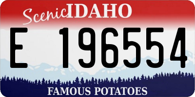 ID license plate E196554