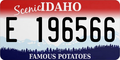 ID license plate E196566