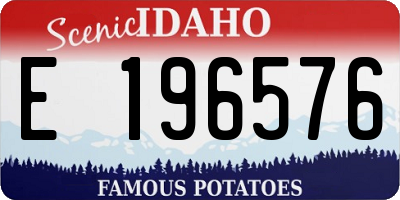 ID license plate E196576