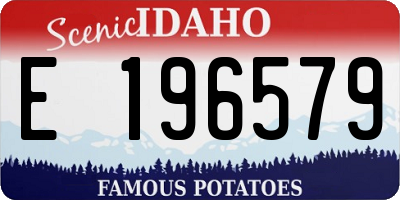 ID license plate E196579