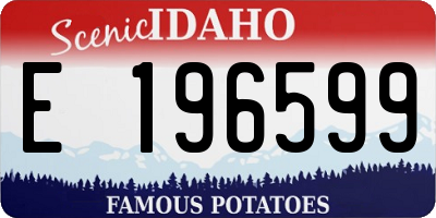ID license plate E196599