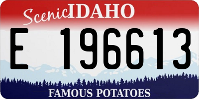 ID license plate E196613