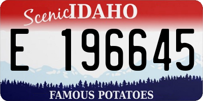 ID license plate E196645