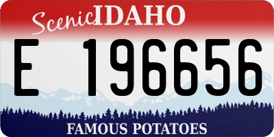 ID license plate E196656