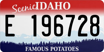 ID license plate E196728