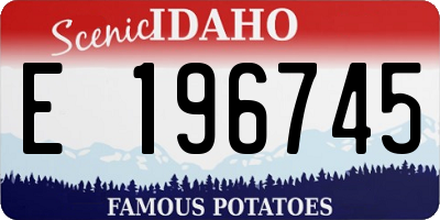 ID license plate E196745