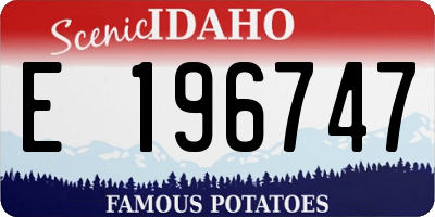 ID license plate E196747