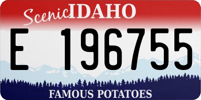 ID license plate E196755