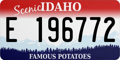 ID license plate E196772