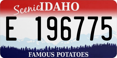 ID license plate E196775