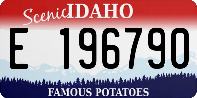 ID license plate E196790