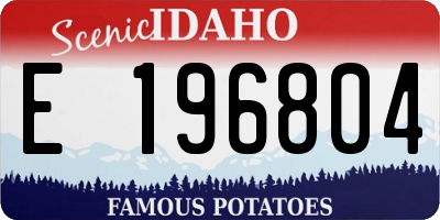 ID license plate E196804