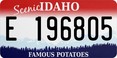 ID license plate E196805
