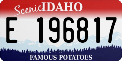 ID license plate E196817