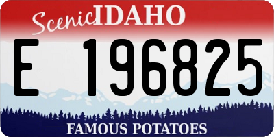 ID license plate E196825