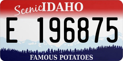 ID license plate E196875