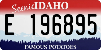 ID license plate E196895