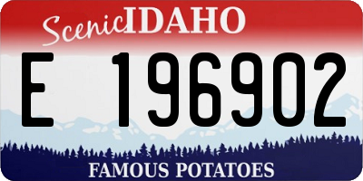 ID license plate E196902