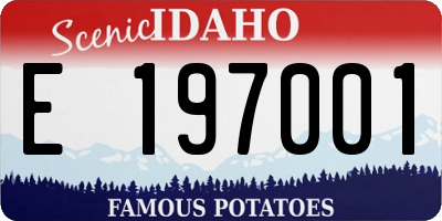 ID license plate E197001