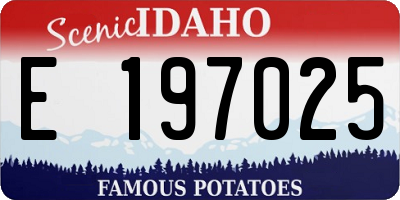 ID license plate E197025