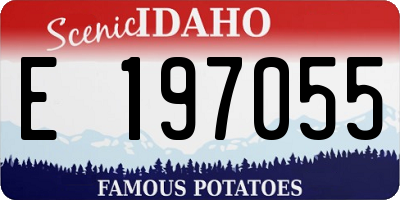 ID license plate E197055
