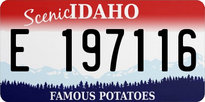 ID license plate E197116