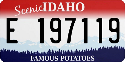 ID license plate E197119