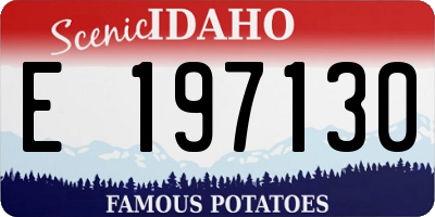 ID license plate E197130