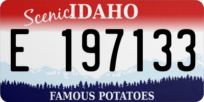 ID license plate E197133