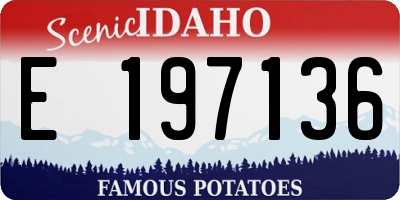 ID license plate E197136